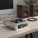 Amplificador 120w+120w Clase D 12v A 24v