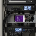 Disco Duro 4tb Wd Purpura