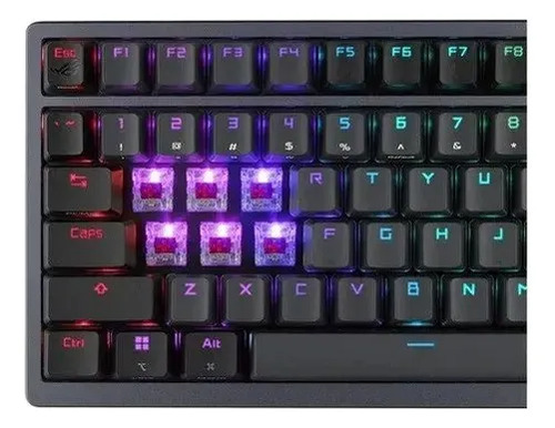ML 5