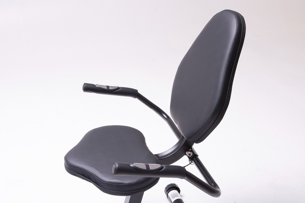 Bicicleta fija Randers horizontal