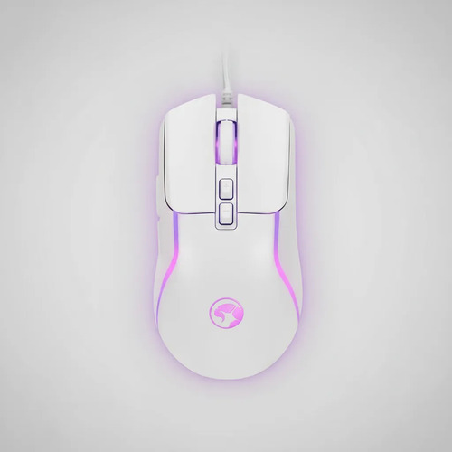 ML 5