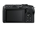 Z30 Body