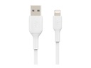 CAA001BT1MWH