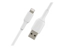 CAA001BT1MWH