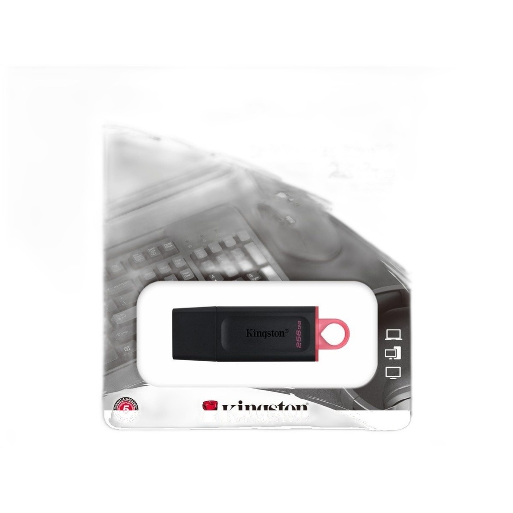 DTX/256GB
