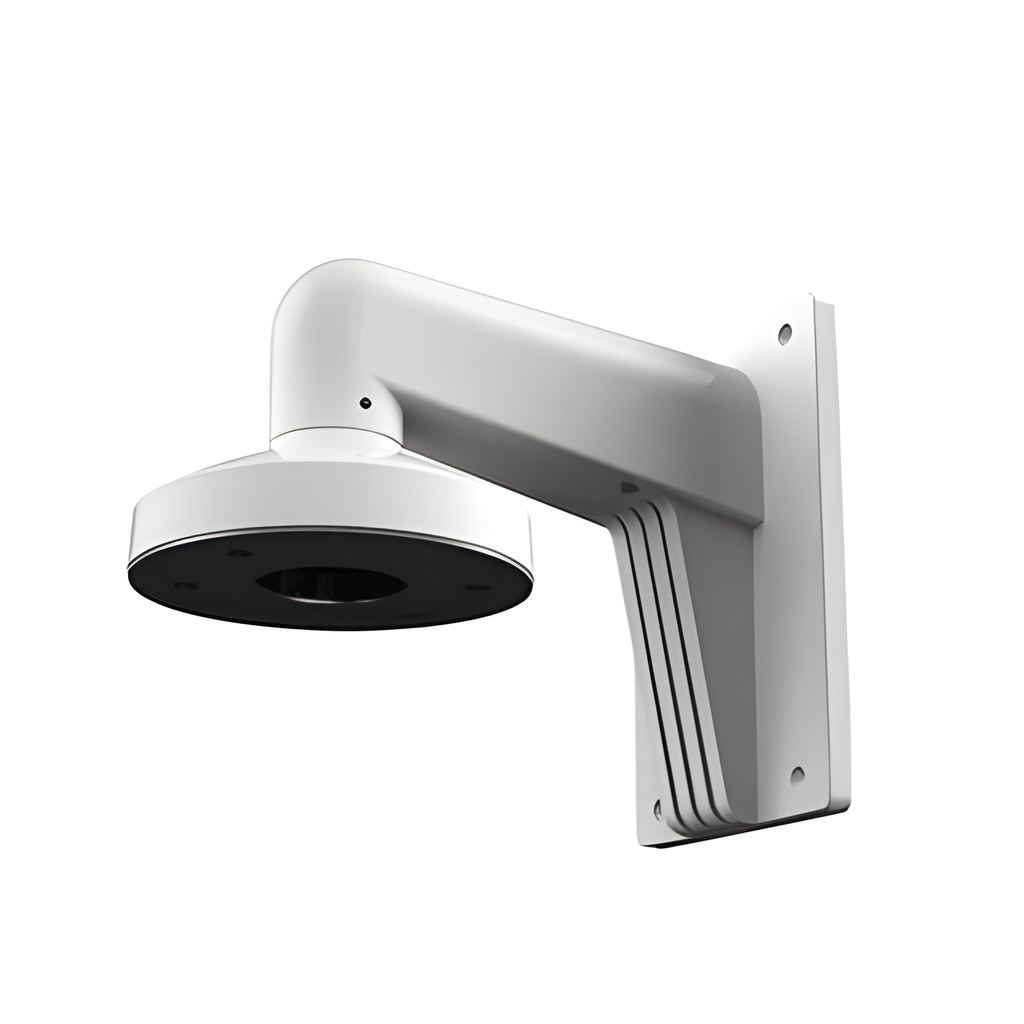 DS-1273ZJ-DM30-B