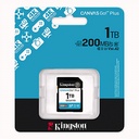 SDG4/1TB - foto 11