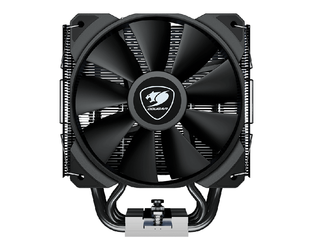 CGR-FZAE85 - foto 10