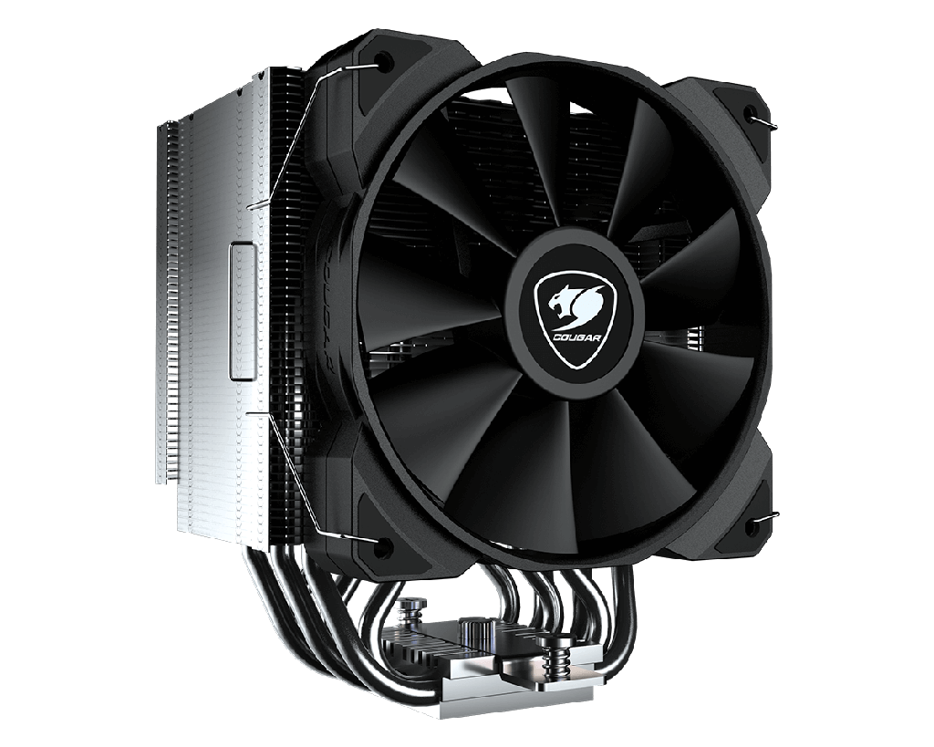 CGR-FZAE85 - foto 11