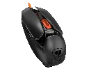 CGR-WONB-M487 - foto 11