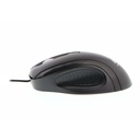 XTM-175 - foto 11