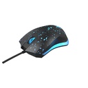 XTM-411 - foto 11