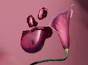 BS0004 - foto 11