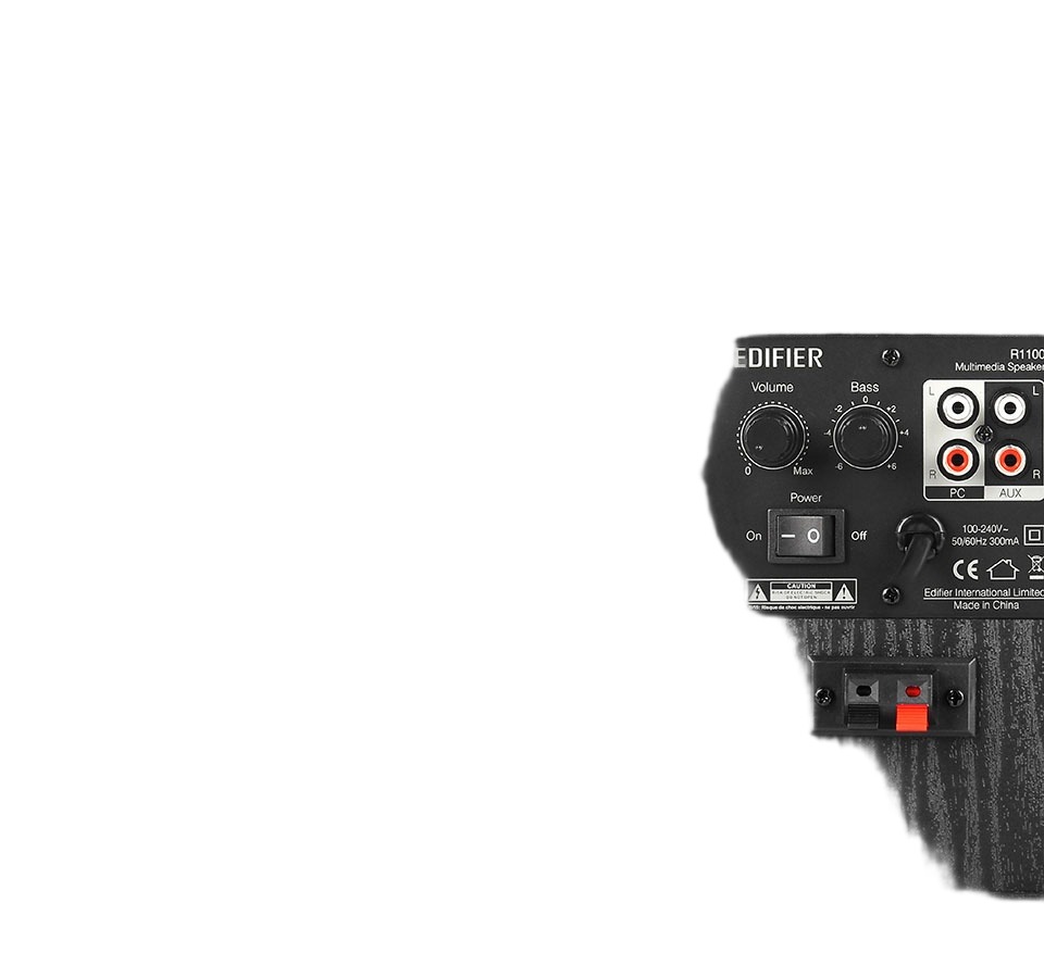 R1100