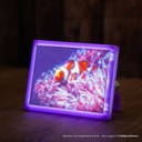 G01-C0-1.75-1000-SPL - foto 13