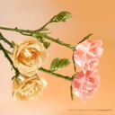 G01-G0-1.75-1000-SPL - foto 10
