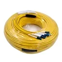 JDM-CINTA-200-R