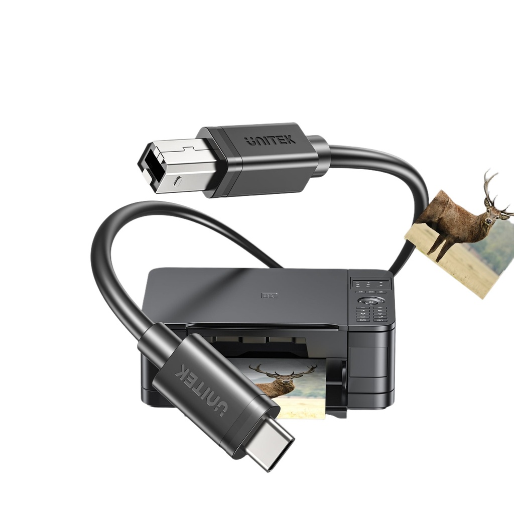 C14140ABK03-5M - foto 13