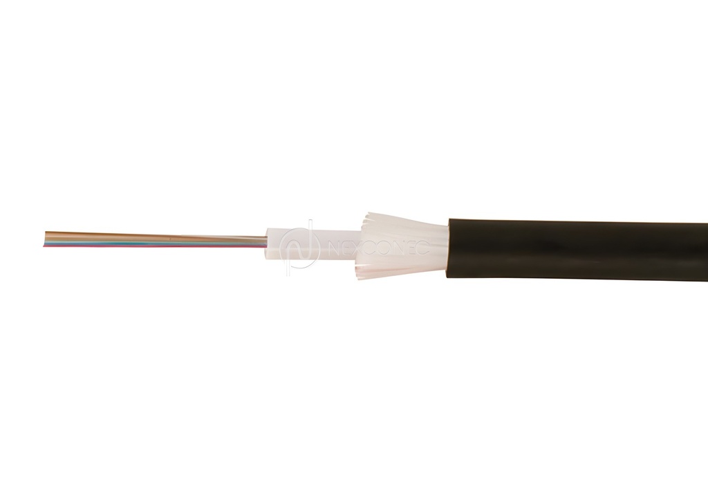 CF1ADD242DBE - foto 10