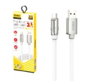 CB-12 - foto 10