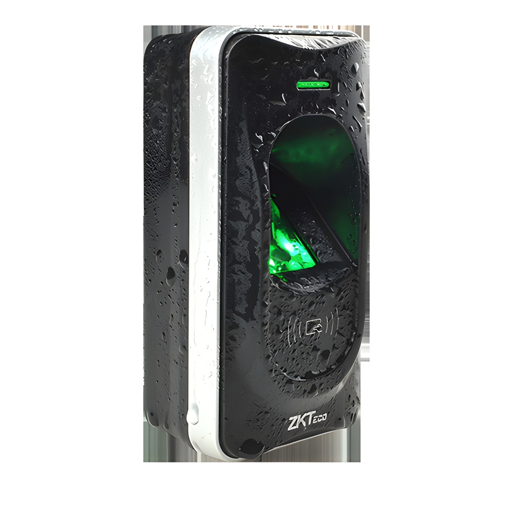 FR1200 - foto 10