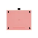 RTS-300PINK