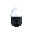 SD49225DB-HNY - foto 10