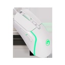 M292BK - foto 12