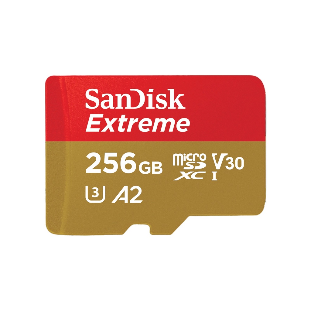 SDSQXAA-128G-GN6MA - foto 10