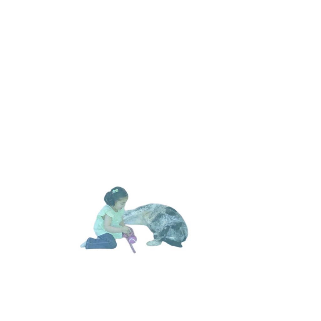 T8W11121