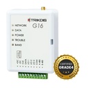 G16