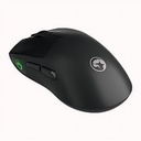 G867W