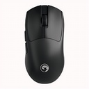G867W
