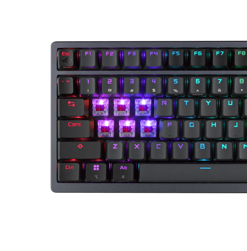 M701ROGAZOTH/NXSW/ES