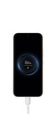 HF008 - foto 16