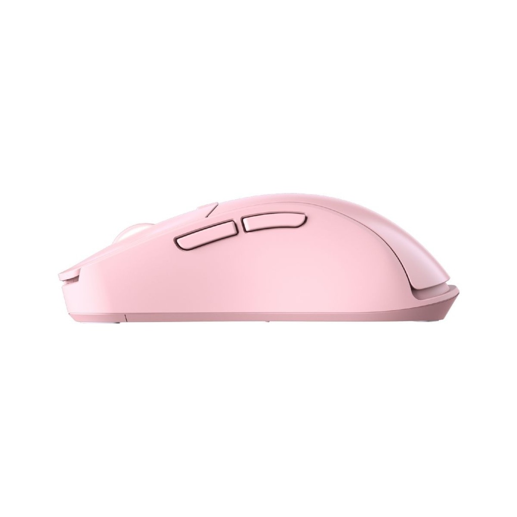 CGR-SURRX2