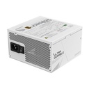 GP-UD850GMPG5W