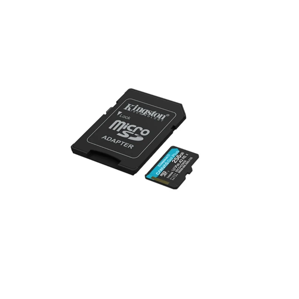 SDCG4/256GB