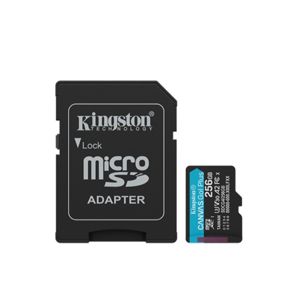 SDCG4/256GB