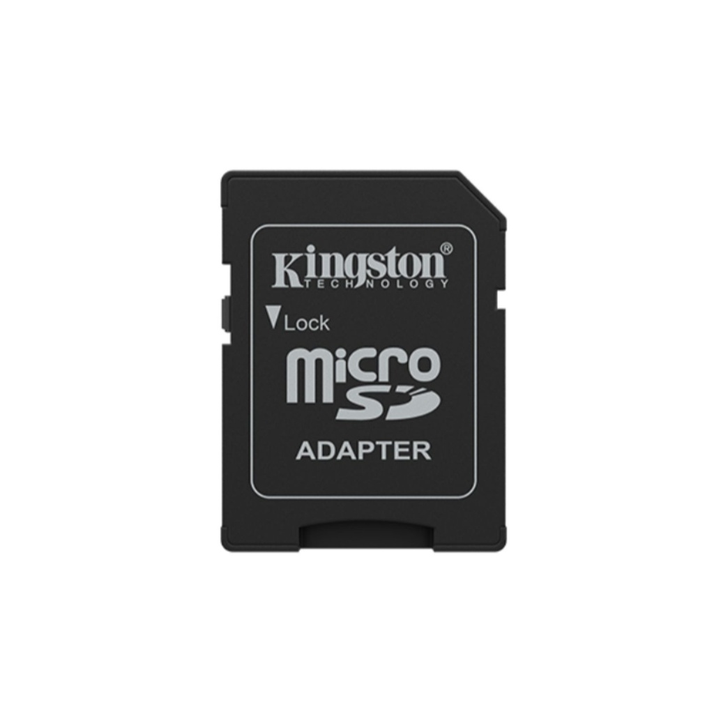 SDCG4/256GB