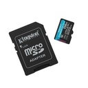 SDCG4/256GB