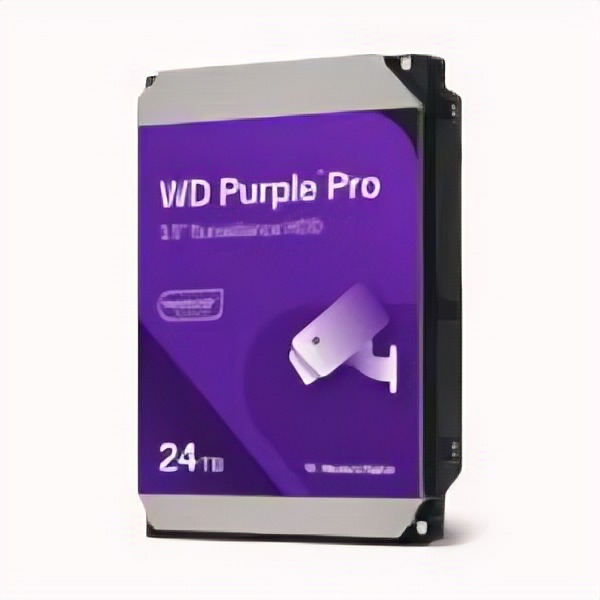 WD241PURP-74CNJY0