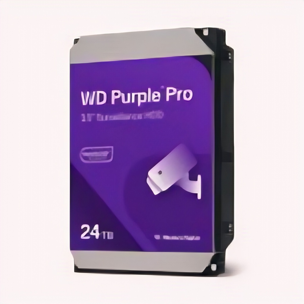 WD241PURP-74CNJY0