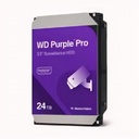 WD241PURP-74CNJY0