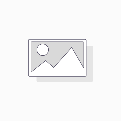 Memoria SD 512GB Class 10 U3 V30 Up To 200/160MB/s