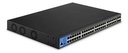 SWITCH L2 48 Puertos Gigabit