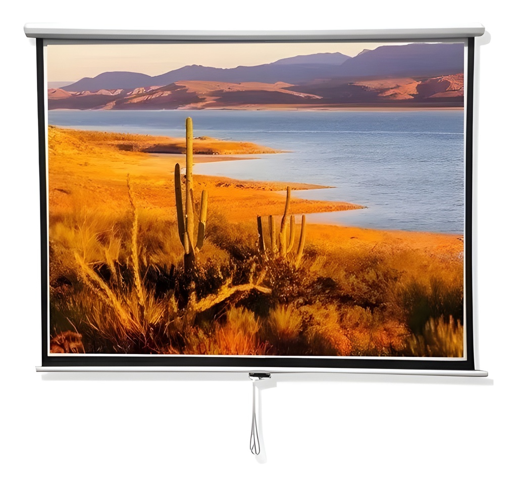 Pantalla De Proyección 84