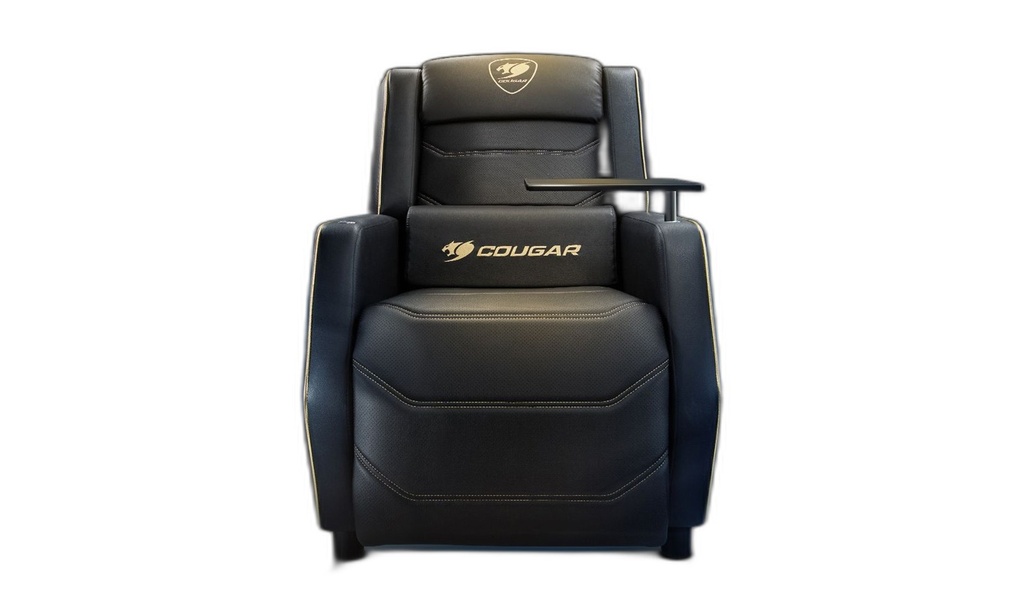 Silla Gamer Dorado Reposabrazos 3D Reclinable 160kg