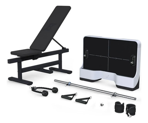 Equipo de Ejercicio para Gym Pal Speediance