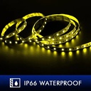 Cinta LED 5m 300 Smd5050 24V Ip66 Marcas Varias
